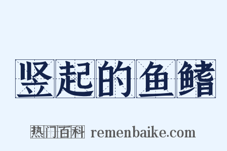 竖起的鱼鳍是什么意思的图片